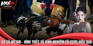 Đá Gà WS168