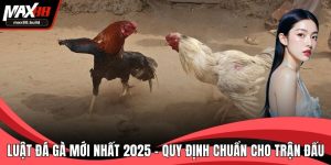 Luật đá gà mới nhất 2025